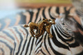 Zebra Gold Lapel Pin