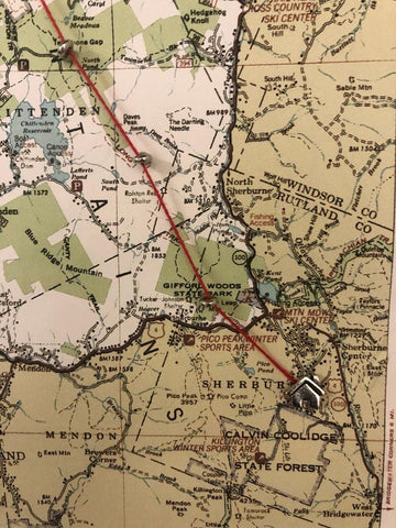 Ring Map Pins